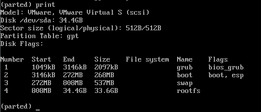 Output from running "print" in parted.