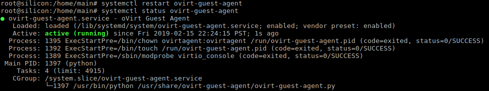 Guest agent successfully started with systemctl restart